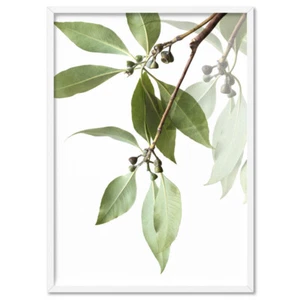 Eucalyptus Gum Leaves Art Print Poster Canvas. Native Modern Australian | PLT-50 - Picture 1 of 10