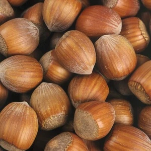 Nocciola Truchsessa 2L - Una delle nocciole più grandi - Foto 1 di 4