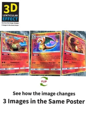Pokémon-Charmander,Charmeleon,Charizard-3DLenticular Flip Effect,3 In One