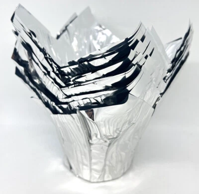 (10) MACETA GRANDE 6" Kwik Cubiertas Envoltura LÁMINA PLATEADA ¡Vesti tus plantas! Foto 1 de 2