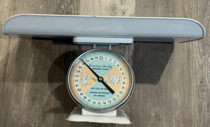 30 Lb. Metal American Family Nursery Dial Scale With Baby Tray Vintage - Picture 1 of 11