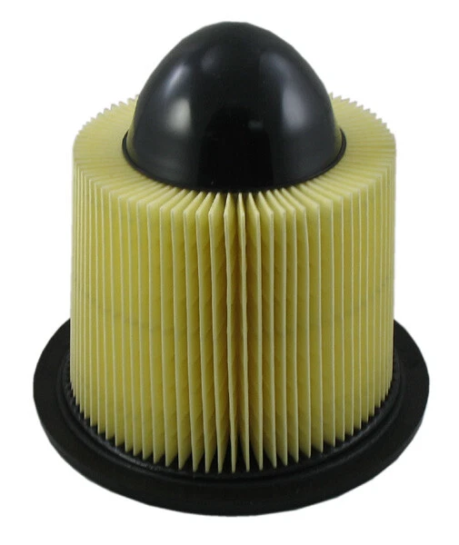 Filtro de aire del motor para Ford F-150 1997-2006 con 5,4 L 8 cilindros V Foto 1 de 1