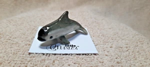 LITTLE CRITTERZ Vaquita Porpoise "Marina" Miniature Figurine New FREE SHIP LC882 - Picture 1 of 8