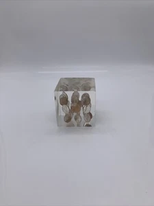 Fermacarte vintage a cubo acrilico lucite con penny sospesi galleggianti 1971  - Foto 1 di 7