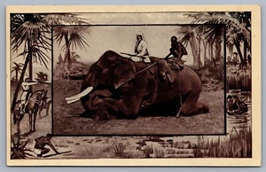 Postal de África de caza de bestias salvajes de elefantes africanos H14 - Imagen 1 de 2