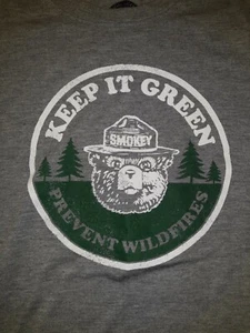 Camiseta para mujer Smokey The Bear gris licenciatario oficial manga corta XS - Imagen 1 de 4