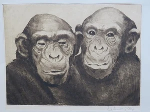 Monkeys Chimpanzees Primate Engraving by Jewish Artist Fred Daaman-Goldberg USA - Picture 1 of 7