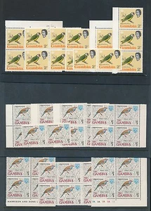 GAMBIA 1963-66 VÖGEL PAPAGEIEN + KERAA POSTFRISCH UM GROSSHANDEL LOT...51 Briefmarken...cv £72 - Bild 1 von 1