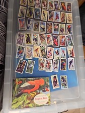 Tropical Birds 1961 Brooke Bond Tea Cards Full Set of 50 Cards And Book Gd Cond