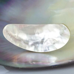 Pinctada South Sea Mother-of-Pearl Oyster Blister Pearl in Shell 3.95 g Cabochon - Picture 1 of 7