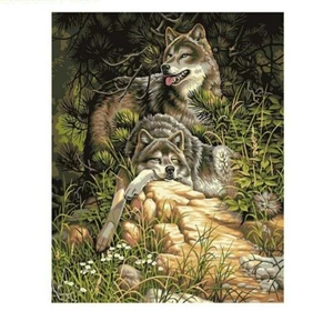 Malen nach Zahlen Erwachsene Kinder Wolf Ruhe Tiere DIY Malset 40x50CM Leinwand - Bild 1 von 10