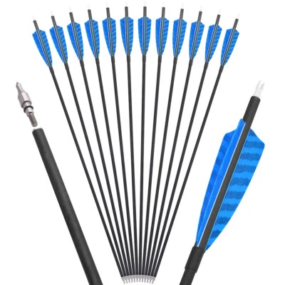 30'' ID6.2mm Archery Carbon Arrows SP500 4" Turkey Feathers Bow Hunting Target - Image 1 of 4