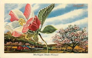 Postal Flor del Estado de Michigan Flor de Manzana Ken Haag Artista Sin Publicar Firmado - Imagen 1 de 2