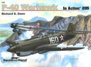SQUADRON SIGNAL CURTISS P-40 WARHAWK USAAF RAF RCAF RAAF SAAF AVG RNZAF CBI MED - Bild 1 von 4