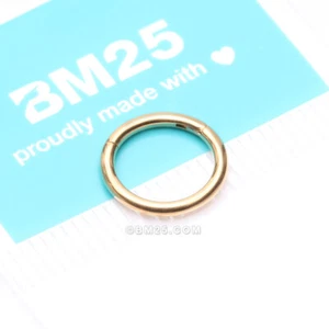 Pure24K Implant Grade Titanium Basic Seamless Hinged Clicker Hoop Ring - Picture 1 of 5