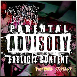 TORSOFUCK - Postpartum Exstasy CD NEW, Gore/Grind, MORTICIAN, JIG-AI - Picture 1 of 1