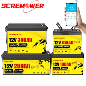 Batería de litio 12V 100Ah 200Ah 300ah LiFePO4 Bluetooth BMS solar autocaravana RV - Imagen 1 de 60