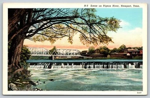 Scene On The Pigeon River Newport Tennessee Postcard Bridge Dam - Picture 1 of 3
