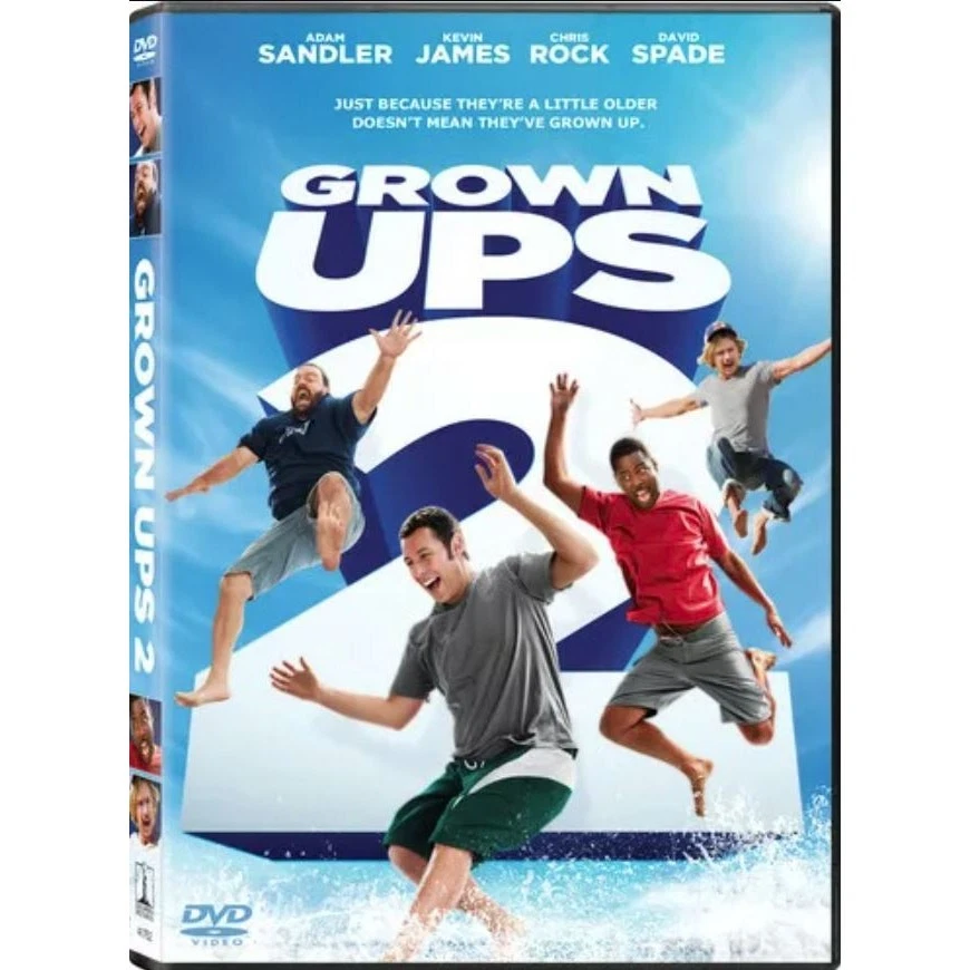 Grown Ups 2 (DVD, 2013, Widescreen) - Image 1 of 1