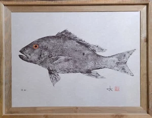 Mutton Snapper Gyotaku - Limited Edition Print, Unframed. 18"x24" - Picture 1 of 3