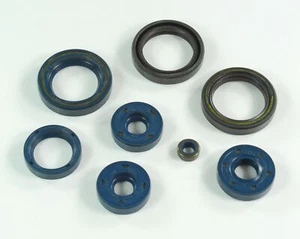 P400010400012 SERIE PARAOLI MOTORE ATHENA APRILIA AF1-RX-TUAREG 125 ROTAX 123 - Foto 1 di 1