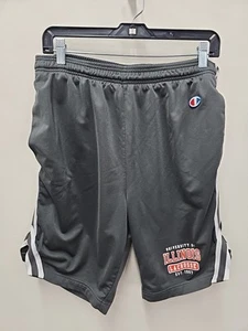 Vintage Illinois Fighting Illini Champion Basketball Lacrosse Shorts Large - Picture 1 of 6