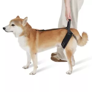 Dog Lift Harness for Large Dogs Hind Legs Anti-Slip Adjustable Support Sling ... - Picture 1 of 8