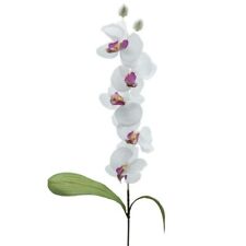 Orchidée Plastique 74 Cm Blanc