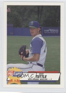 1993 Fleer ProCards Minor League Dave Tuttle David Tuttle #2867