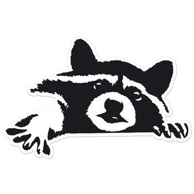 SOUTHERN STICKERZ Peeking Raccoon - Vinyl Decal Sticker - Car Window Laptop - ebn12049