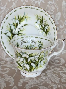 Royal Albert January Flower Of The Month Series Snow Drops Detail Cup Saucer. - Bild 1 von 17