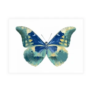 Stampa su Tela su Carta Poster o Quadro Bosco Julia Butterfly in Aqua I - Picture 1 of 2