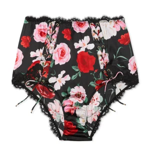 NWT Atelier Victoria's Secret Satin Lace-Trim High-Waist Brief Panty Size M - Picture 1 of 8