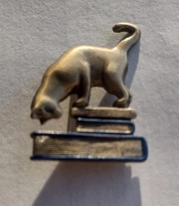 Prendedor de solapa de biblioteca librería gato y libros amante de los libros de colección  - Imagen 1 de 9