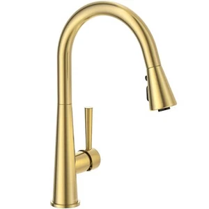 Rubinetto Cucina Oro Spruzzatore Estraibile, Lava Odoro Ottone 1 Maniglia Lavello Cucina - Foto 1 di 9