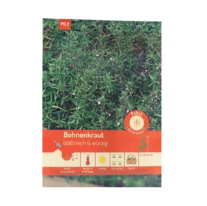 Bohnenkraut blattreich & würzig Samen Bohnenkrautsamen Kräuter Sommerbohnenkraut - Bild 1 von 2