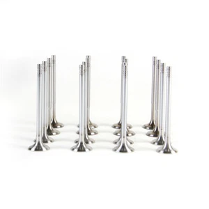 Engine Intake & Exhaust Valves Fit For VW Golf Jetta CC Tiguan Audi A3 1.4T - Picture 1 of 12