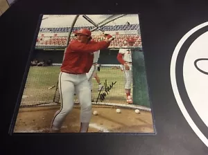 Tom Herr Autogramm SIGNIERT 8x10 St. Louis Cardinals - Bild 1 von 1