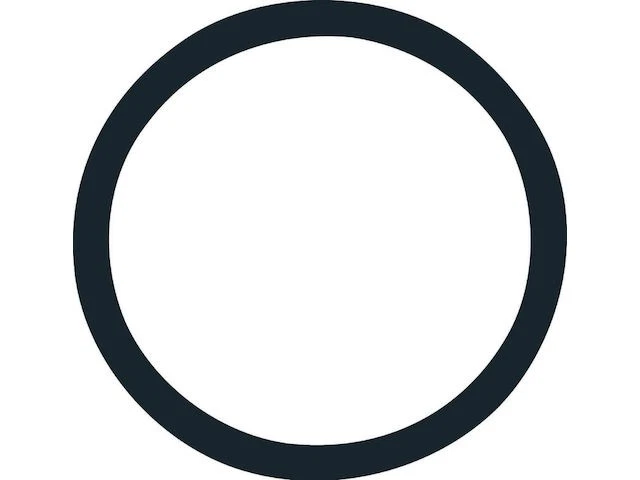 Junta tórica termostato para Alfa Romeo Alfetta 1975-1977 2,0 L 4 cilindros GAS 1976 DR555GR Foto 1 de 1