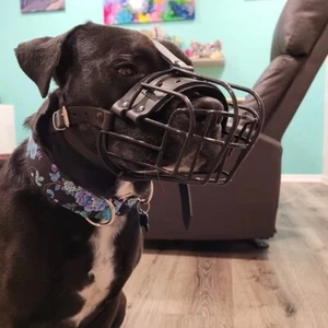 Strong Metal Wire Basket Dog Muzzle | Amstaff Pit Bull, Bull Terrier and Similar - Picture 1 of 12