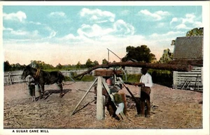 NEGRO AMERICANA - UN MOLINO DE CAÑA DE AZÚCAR - TRABAJADORES - POSTAL ANTIGUA - Imagen 1 de 2