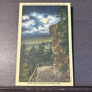 Great Smoky Mountains National Park at Moonlight Vintage Leinen Postkarte UNP - Bild 1 von 2