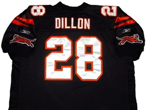 VTG AUTHENTIC COREY DILLON CINCINNATI BENGALS NFL LEAPING TIGER JERSEY 58 SEWN! - Picture 1 of 5