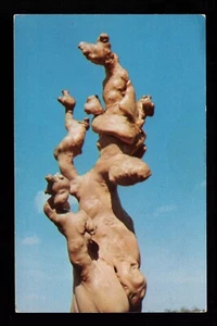 Magnificent Rare Cypress Knee, Tom Gaskin, Cypress Knee Museum, VTG PC - Picture 1 of 2