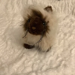 Ganz Webkinz Himalayan Cat Plush HM165, No Code, Stuffed Animal, Cute PRE-OWNED - Picture 1 of 6