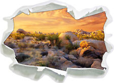 Joshua Wüste im Sonnenuntergang - 3D-Look Papier Wandtattoo Aufkleber-Sticker