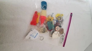 Collection/Key Chains, 2lb.12oz. Assortment - Picture 1 of 6