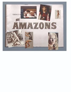 Terence Young's THE AMAZONS 32 páginas 1973 paquete libro de prensa de películas - Imagen 1 de 9