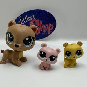 ODESSA ORSO BEAR #327 W/ Accessories - Authentic Littlest Pet Shop - Hasbro LPS - Picture 1 of 4