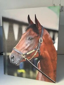 American Pharoah Original Foto Leinwandbild 20x16 TRIPLE CROWN CHAMPION 2015 - Bild 1 von 8